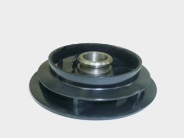 ��ɫ������ע�ܳ�������Щ�ص�